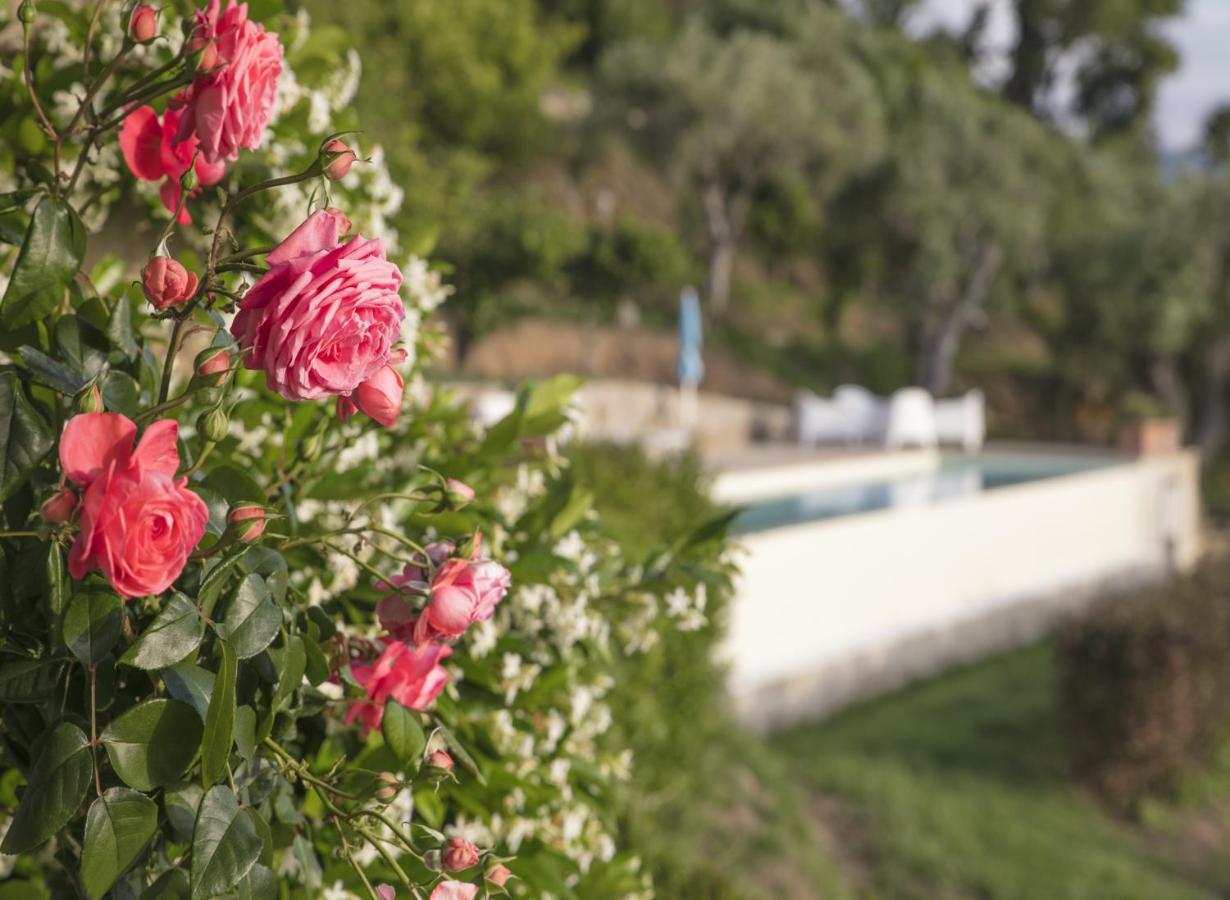 Villa Laura Capo dʼOrlando Екстериор снимка