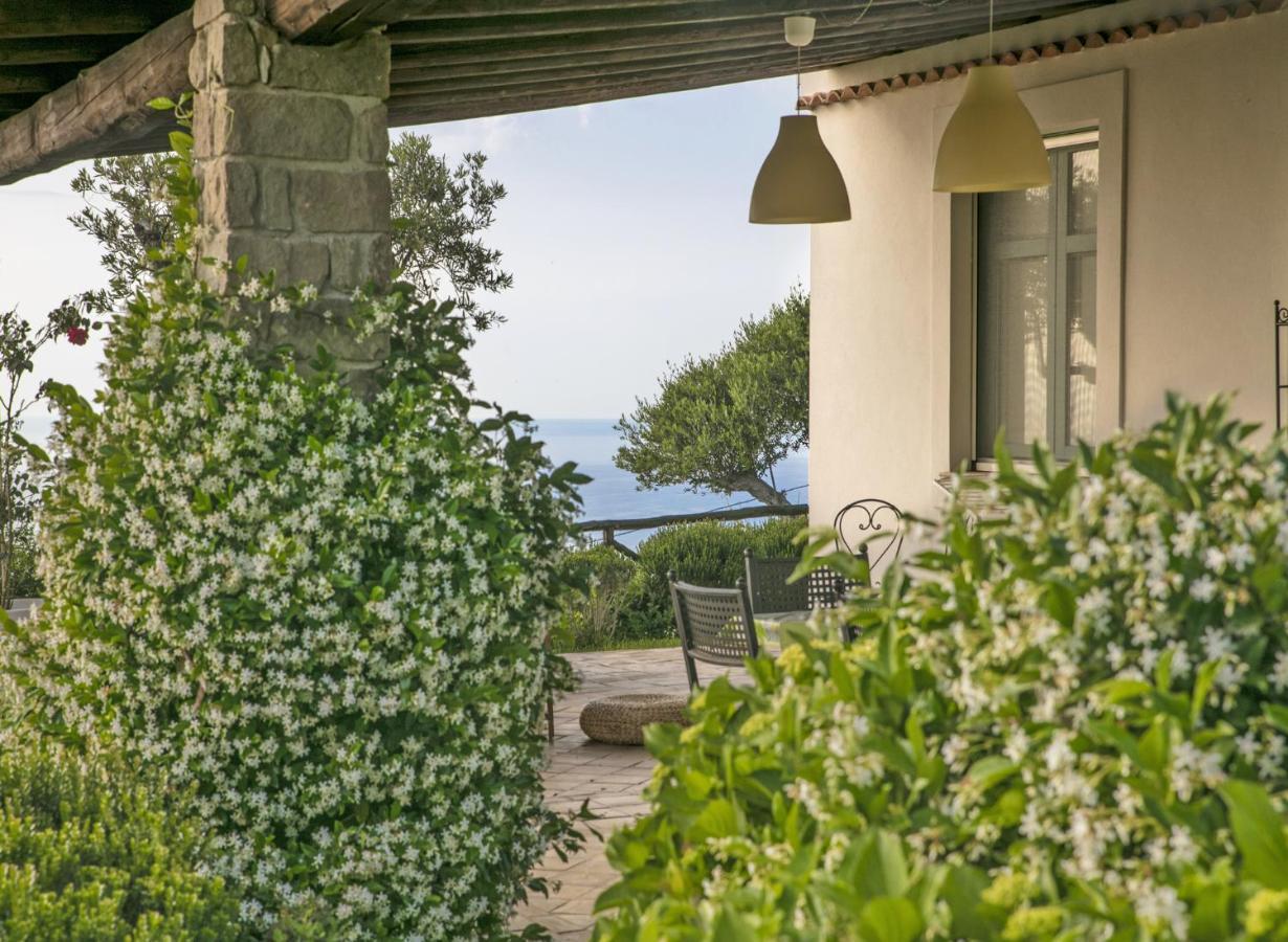 Villa Laura Capo dʼOrlando Екстериор снимка